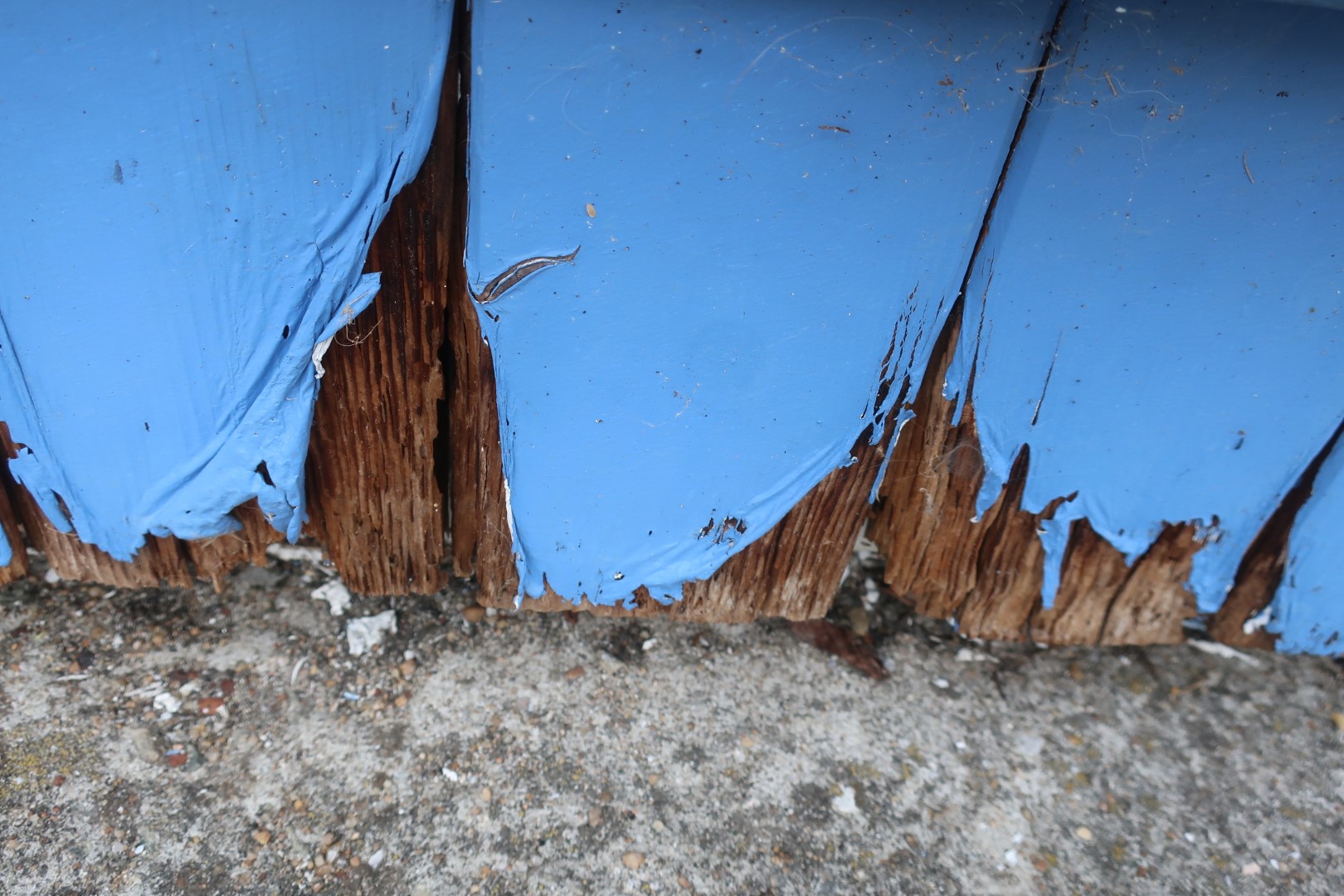 Pourrissement de lames de volet bois