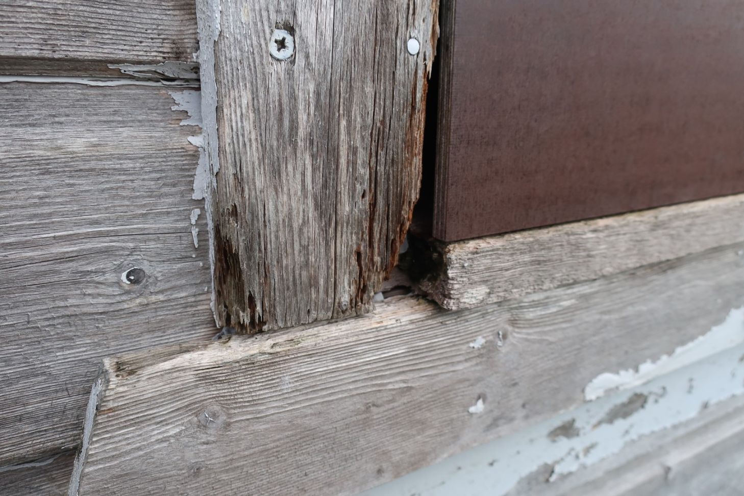 Pourrissement d'élément de structure d'une ossature bois