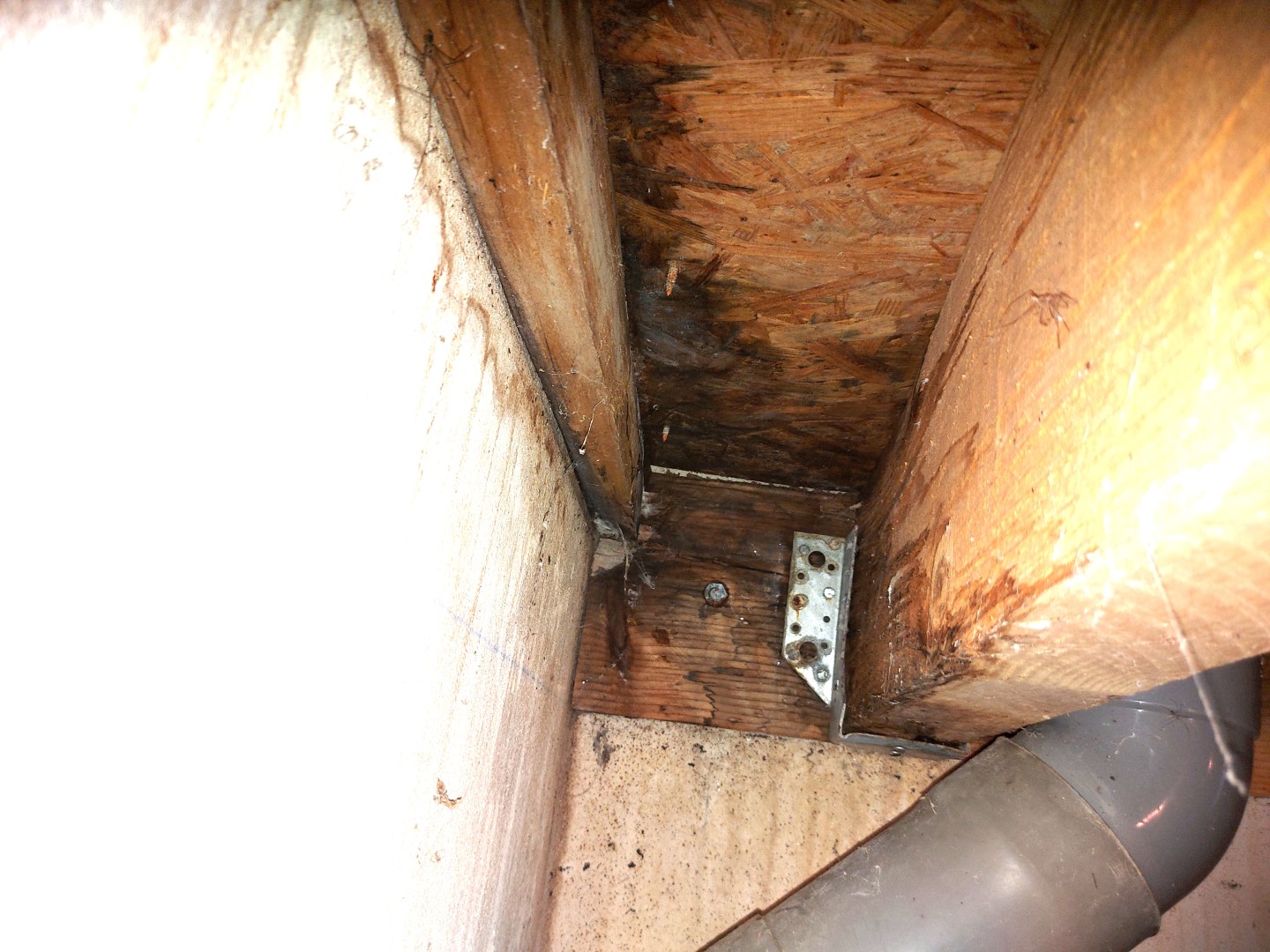 Infiltrations par l'étanchéité d'une toiture terrasse sur support bois : 