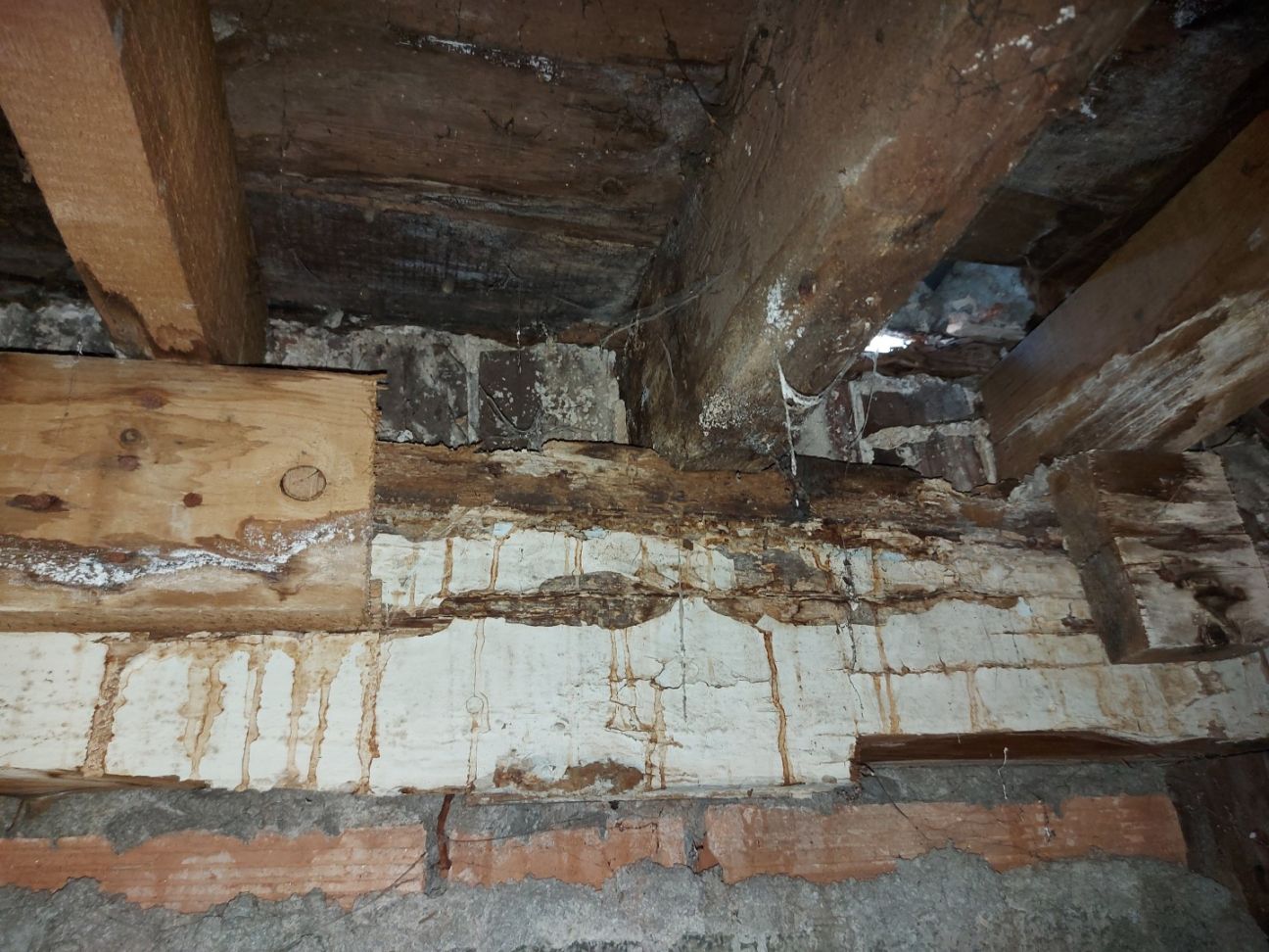 Plancher bois pourri à cause d'une fuite de l'évier de la cuisine de l'appartement au-dessus, dans un vieil immeuble. 